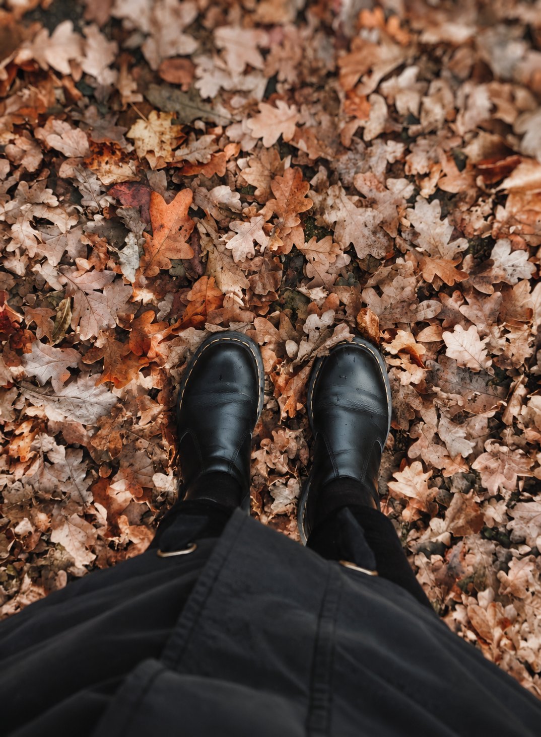 Stiefel im nassen Laub