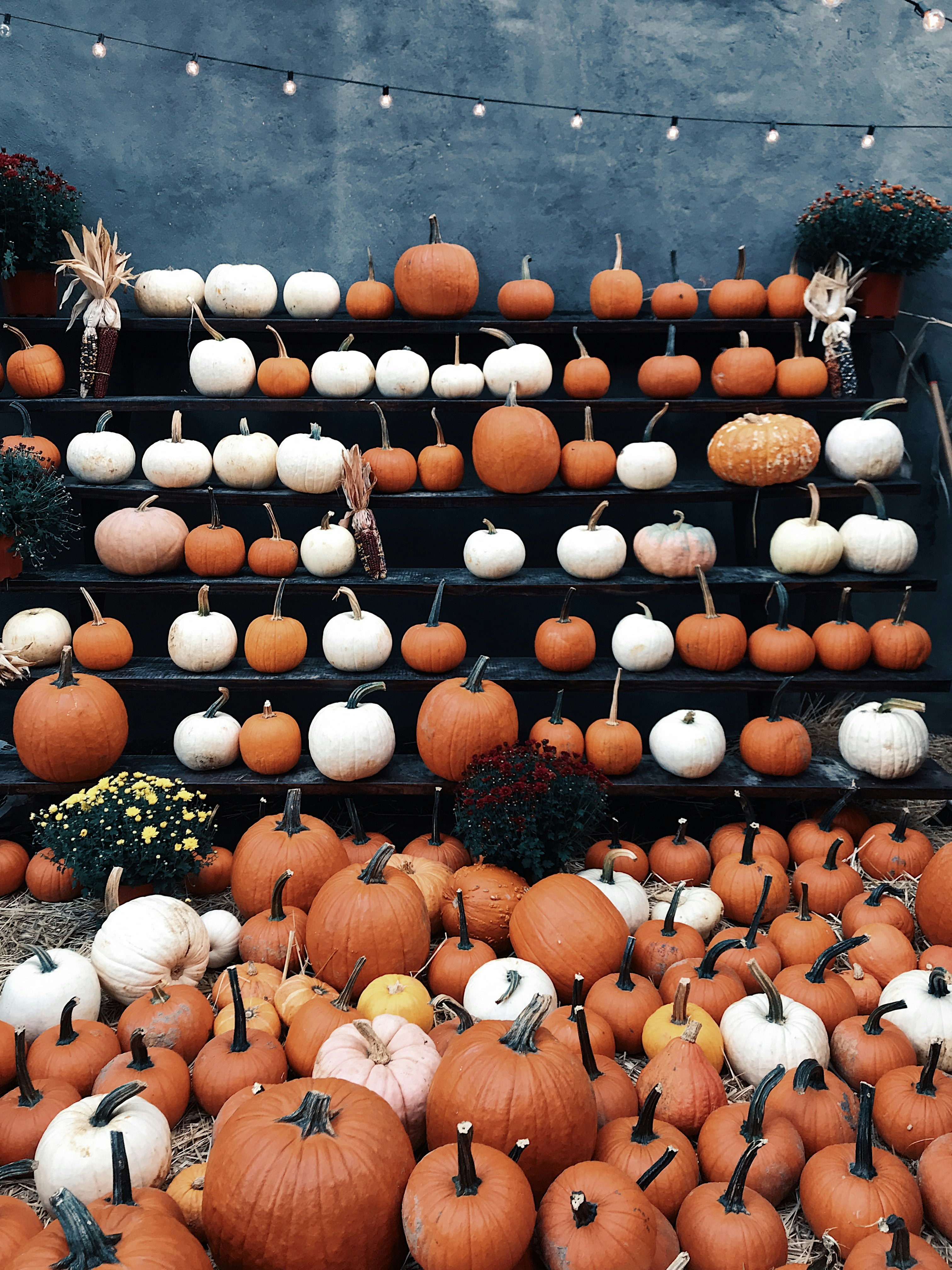 Nasses Herbstlaub