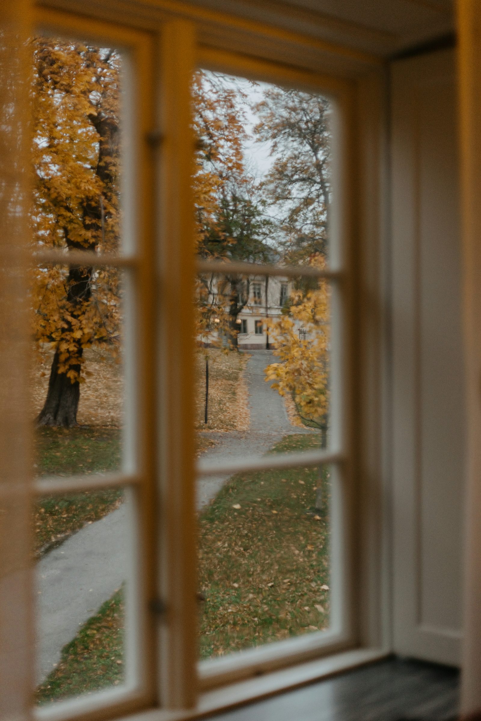 Herbst vor dem Fenster