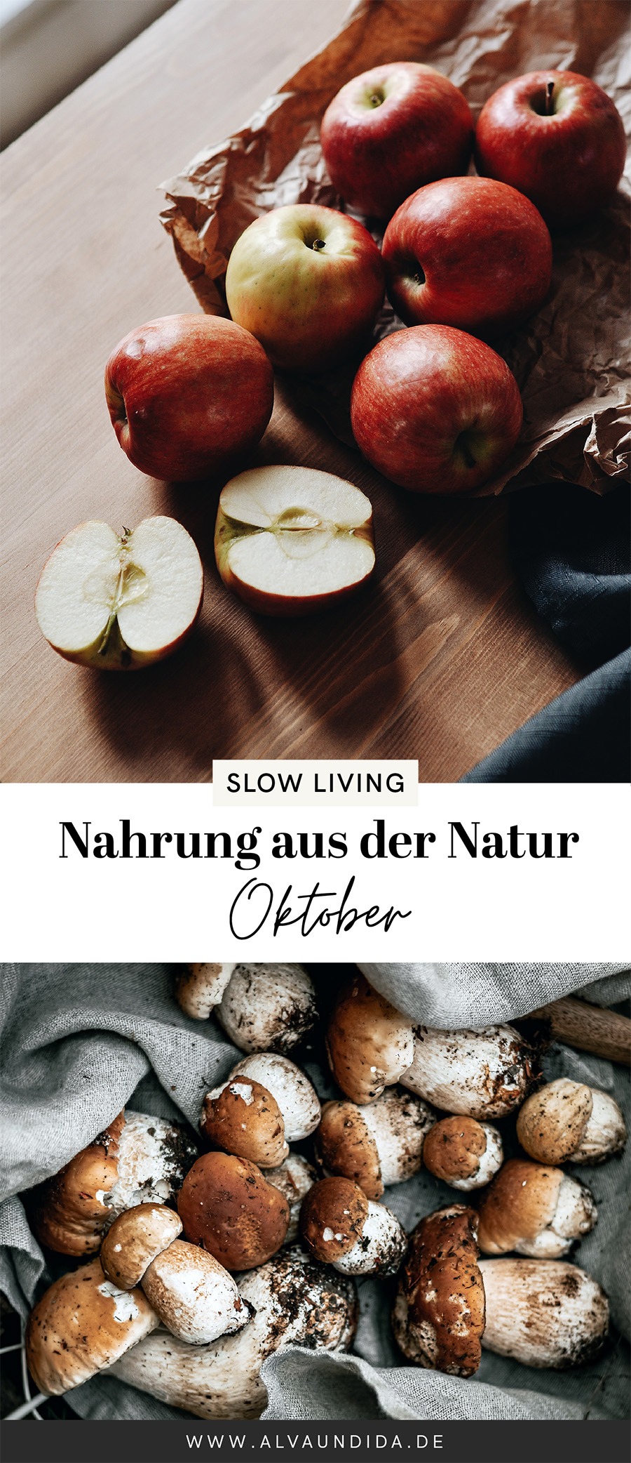 alvaundida_diyblog, natur, nachhaltigkeit, slow living, Nahrung aus der Natur - Oktober